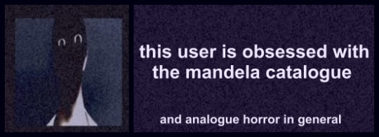 this user is obsessed with the mandela catalogue (and analogue horror in general)
