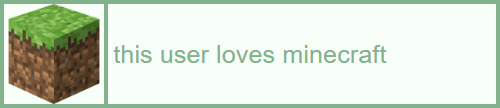 this user loves minecraft